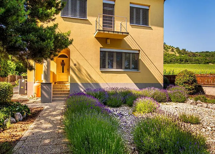 Homestay szállás Pod Svatym Kopeckem Mikulov